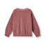 Yapeen velour sweatshirt med æble