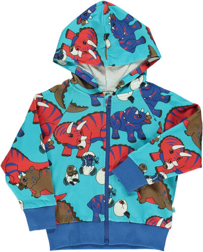 Sweatshirt, Zipper and Hoodie, Dinosaur